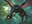 Eyekite