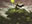 Groundswell
