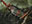 Scavenged Blade