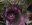 Cavernous Maw