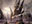 Dakmor Salvage