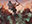 Desert Warfare