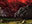Tectonic Edge