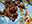 Burdened Aerialist