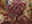 Sowing Mycospawn