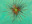 Wayfarer's Bauble