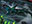 Chrome Host Seedshark