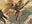 Angel of Indemnity