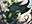 Perennial Behemoth