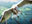 Vexing Radgull