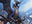Hammerhead Tyrant