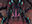Runescale Stormbrood // Chilling Screech