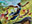 Wingspan Stride