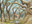 Gaea's Cradle