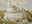 Castle Ardenvale