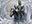 Knight of Doves