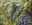 Iridescent Hornbeetle